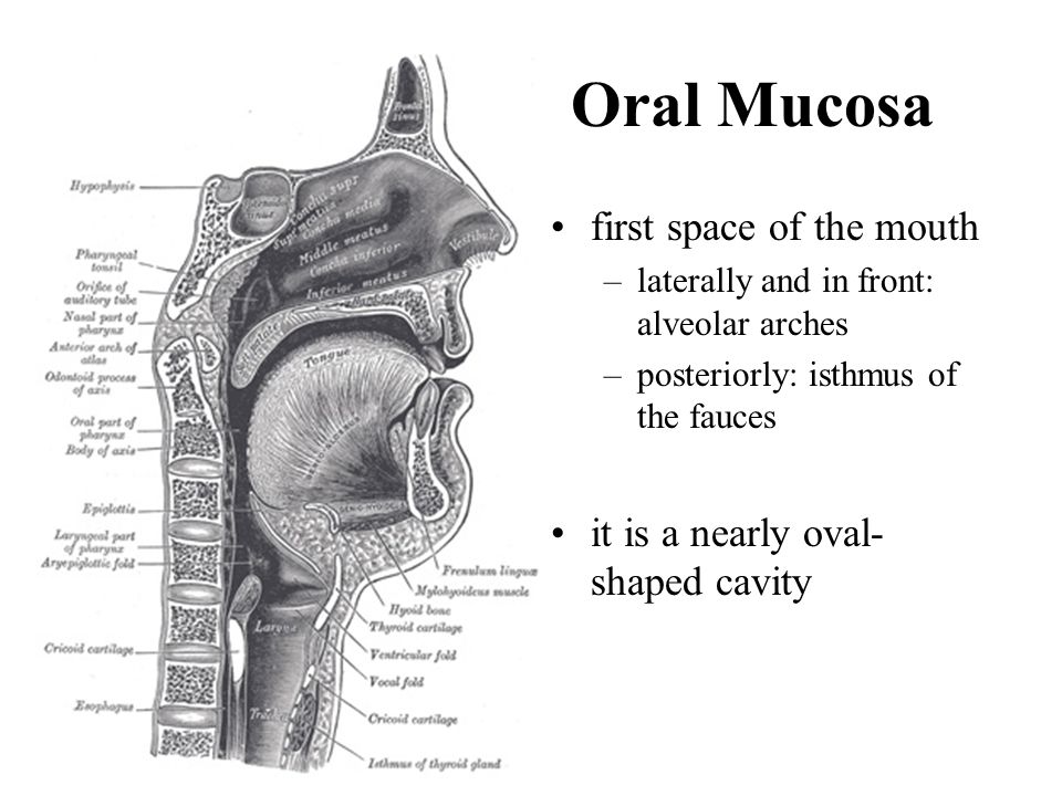 Cancer of the oral mucosa: how to recognize and get rid of it in time?